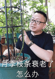抖音谁的粉丝最多是第一名？3000多万粉丝的第一名到底是谁？