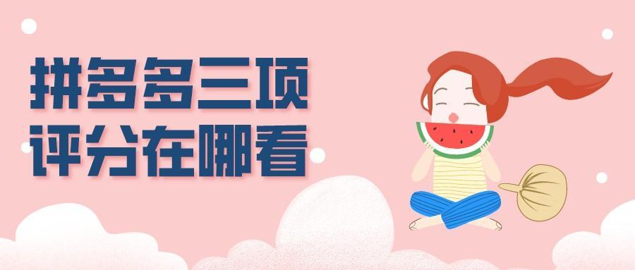 拼多多店铺综合评分在哪里看？分享拼多多三项评分在哪看？