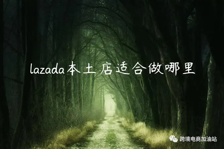 lazada跨境店和本土店哪个更好做？