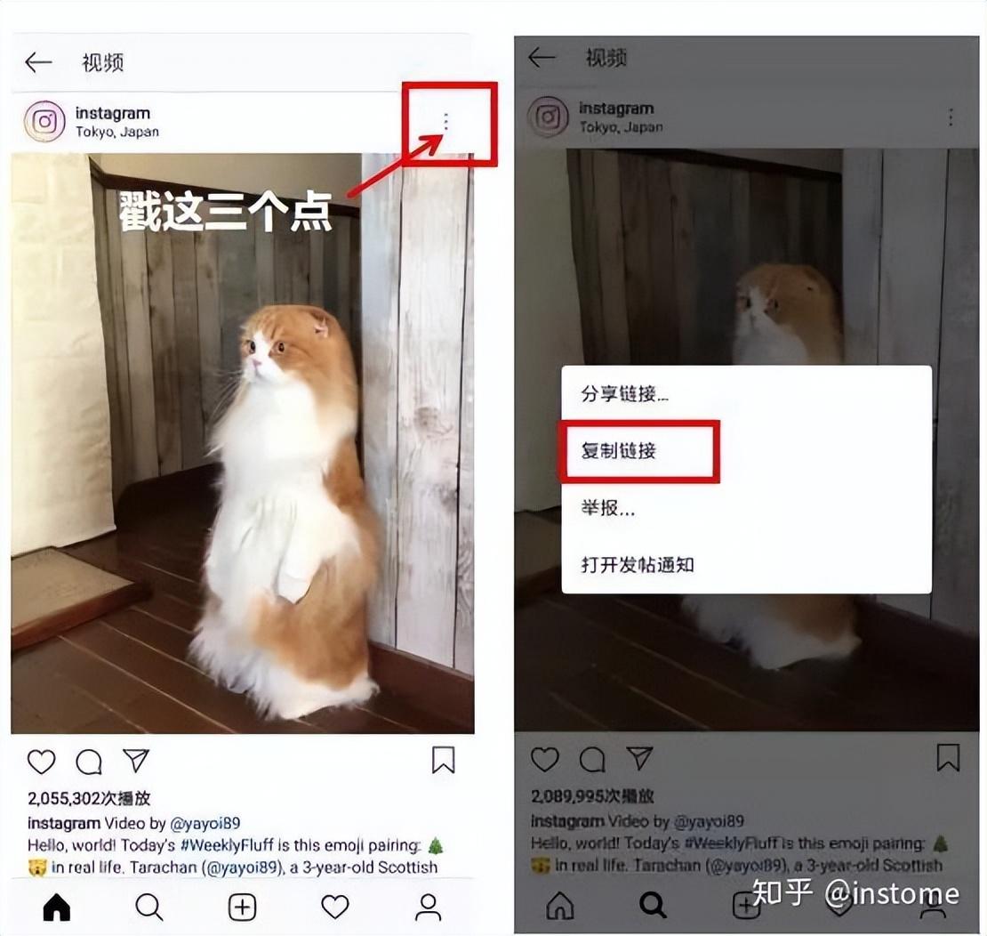 ins怎么保存原图和视频（INS存原图软件推荐）