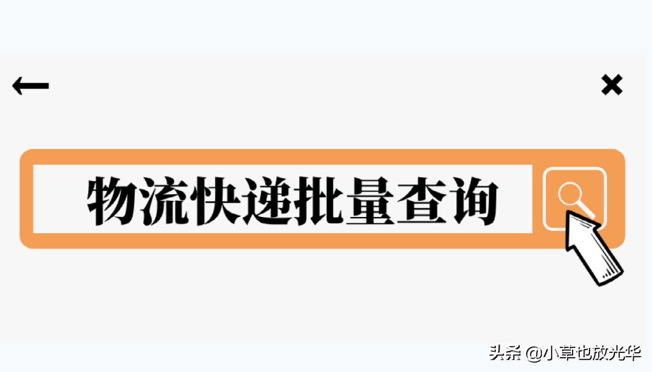 中通、圆通等订单号查询系统（附适用全网快递公司快递查询）
