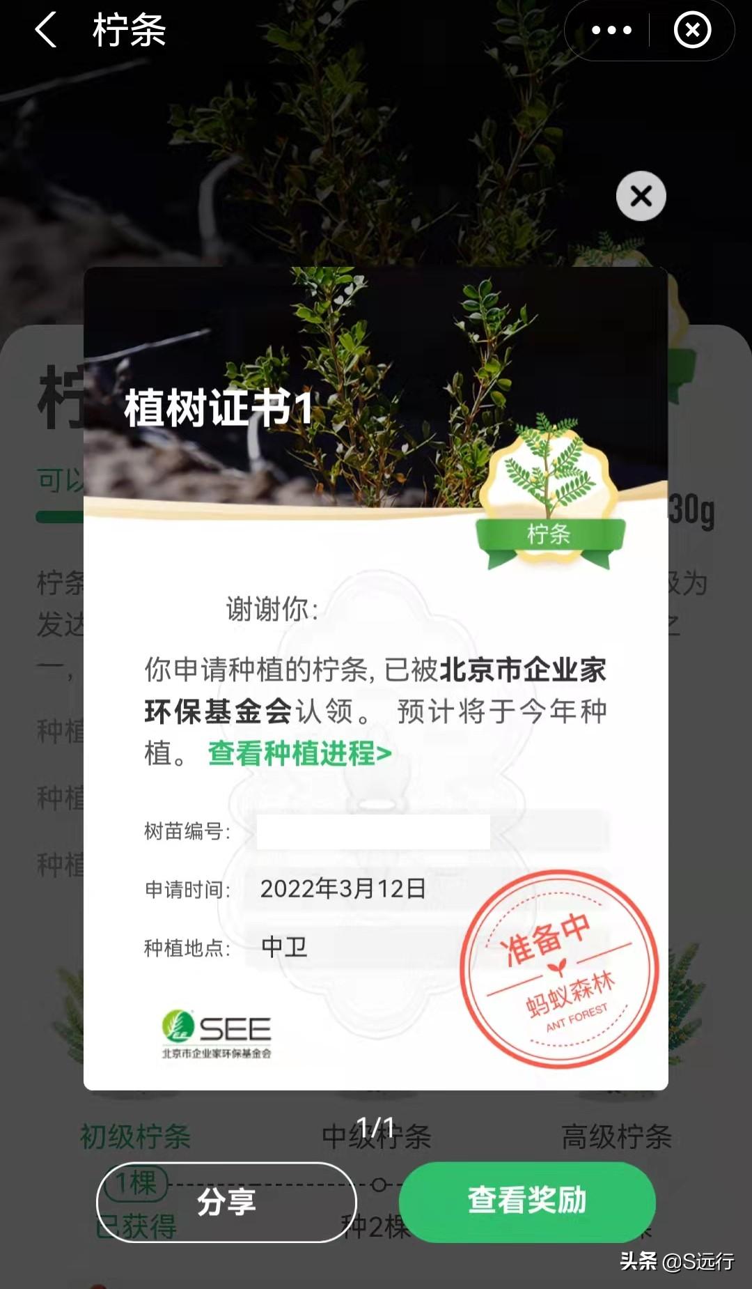 支付宝蚂蚁森林怎么种树？分享能量获取方法和种树攻略