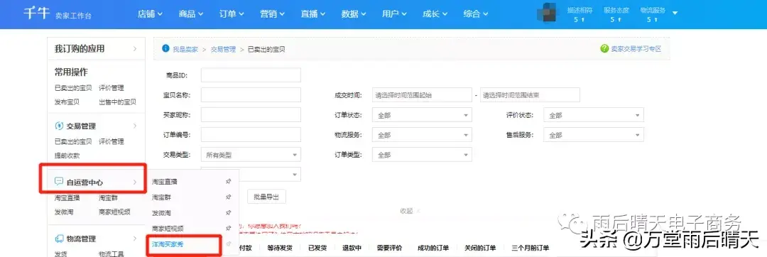 洋淘秀是什么意思？如何运营淘宝电商引流神器？