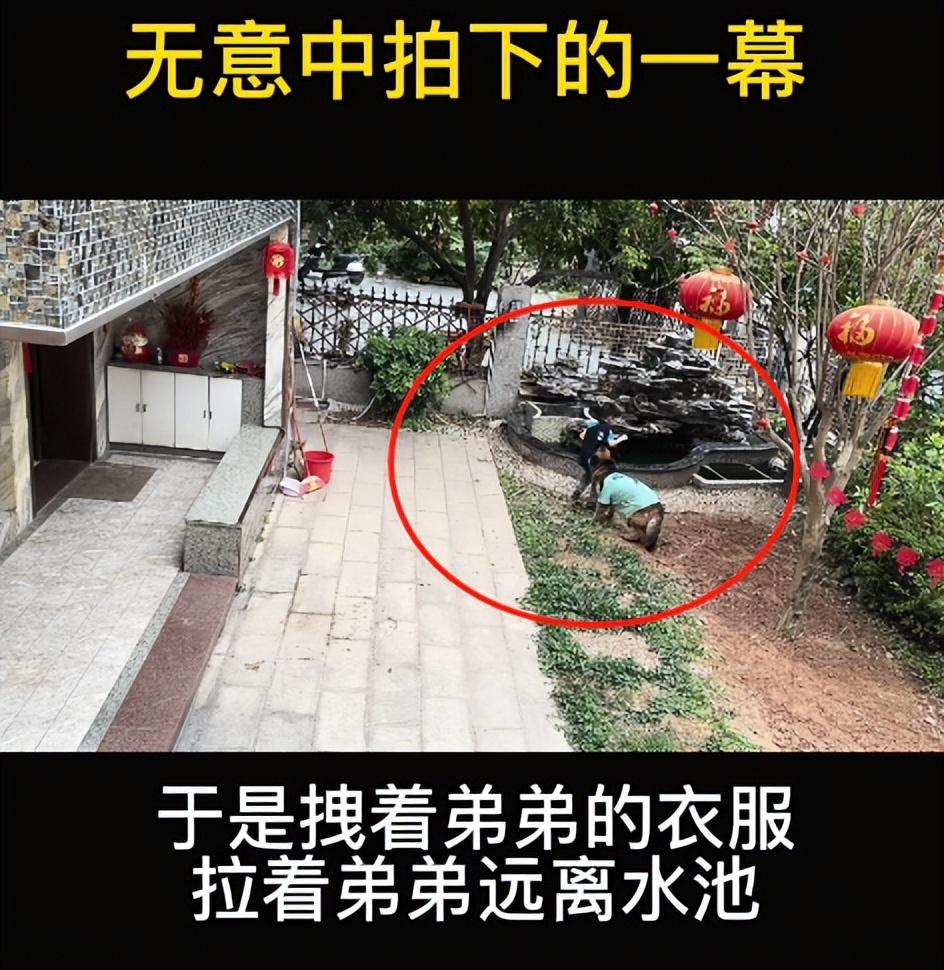 网红狗排行前十名是谁？ 盘点那些全网最受欢迎的网红犬