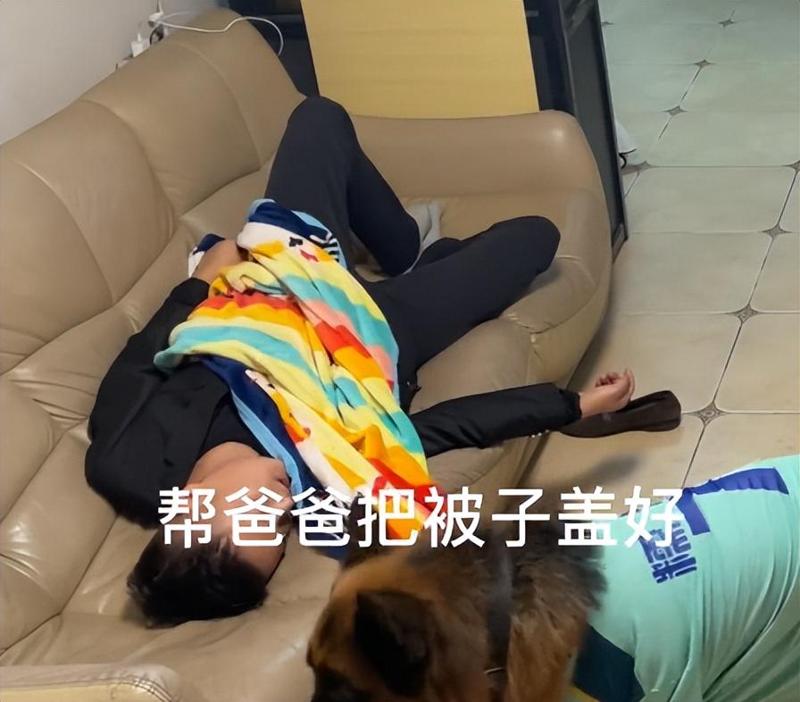 网红狗排行前十名是谁？ 盘点那些全网最受欢迎的网红犬