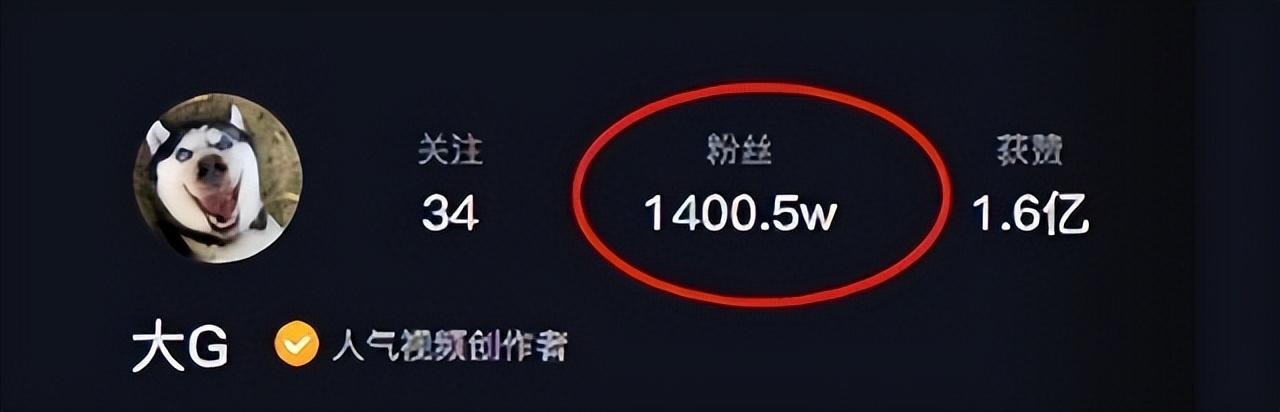 网红狗排行前十名是谁？ 盘点那些全网最受欢迎的网红犬