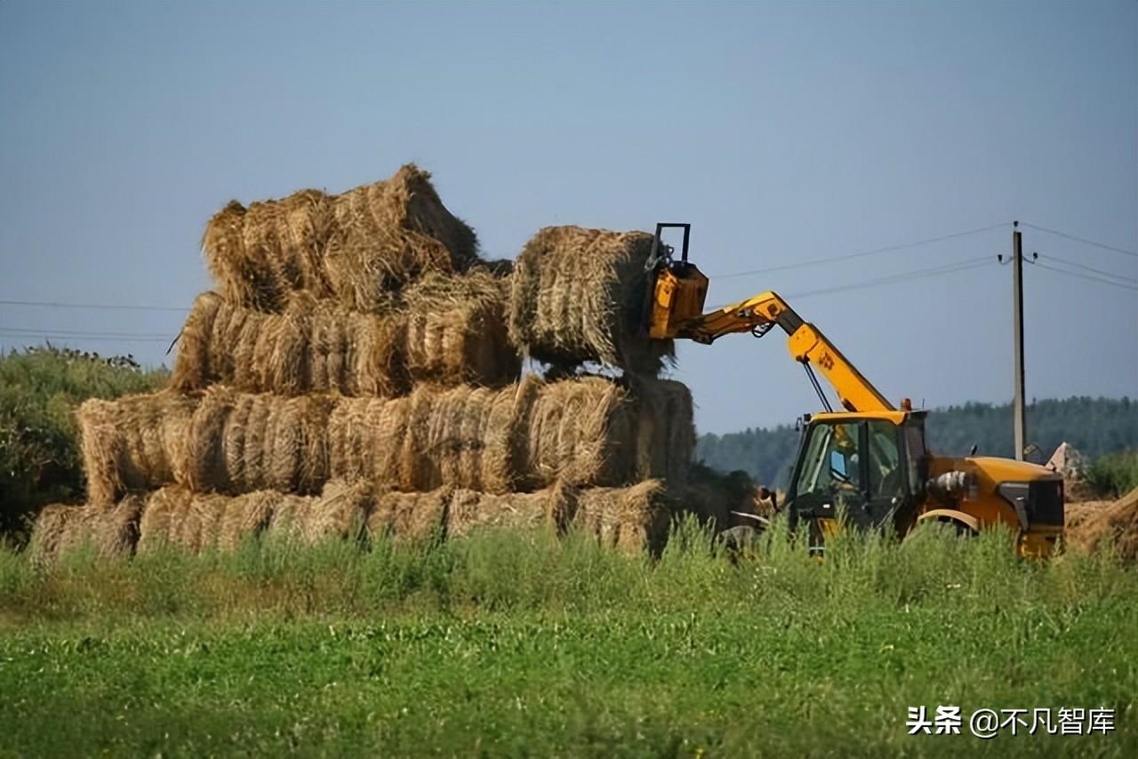 中国贸易伙伴排名（2022中国出口贸易数据表一览）