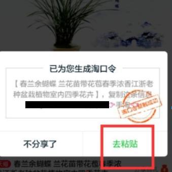 淘口令是什么意思？ 通过复制粘贴淘口令来买东西安全吗？