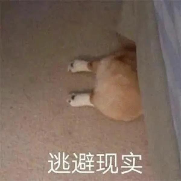 12315和12345哪个投诉最有用？分析两者的区别及优势效果介绍