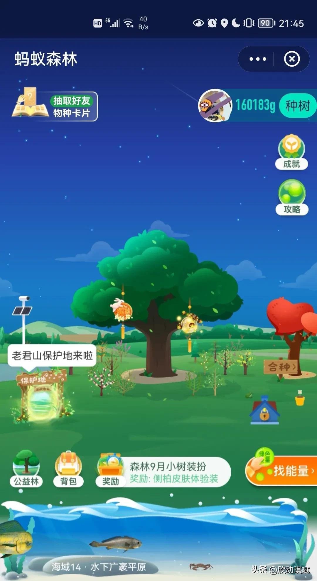 支付宝蚂蚁森林种树有什么用？分析蚂蚁森林种树的作用及意义