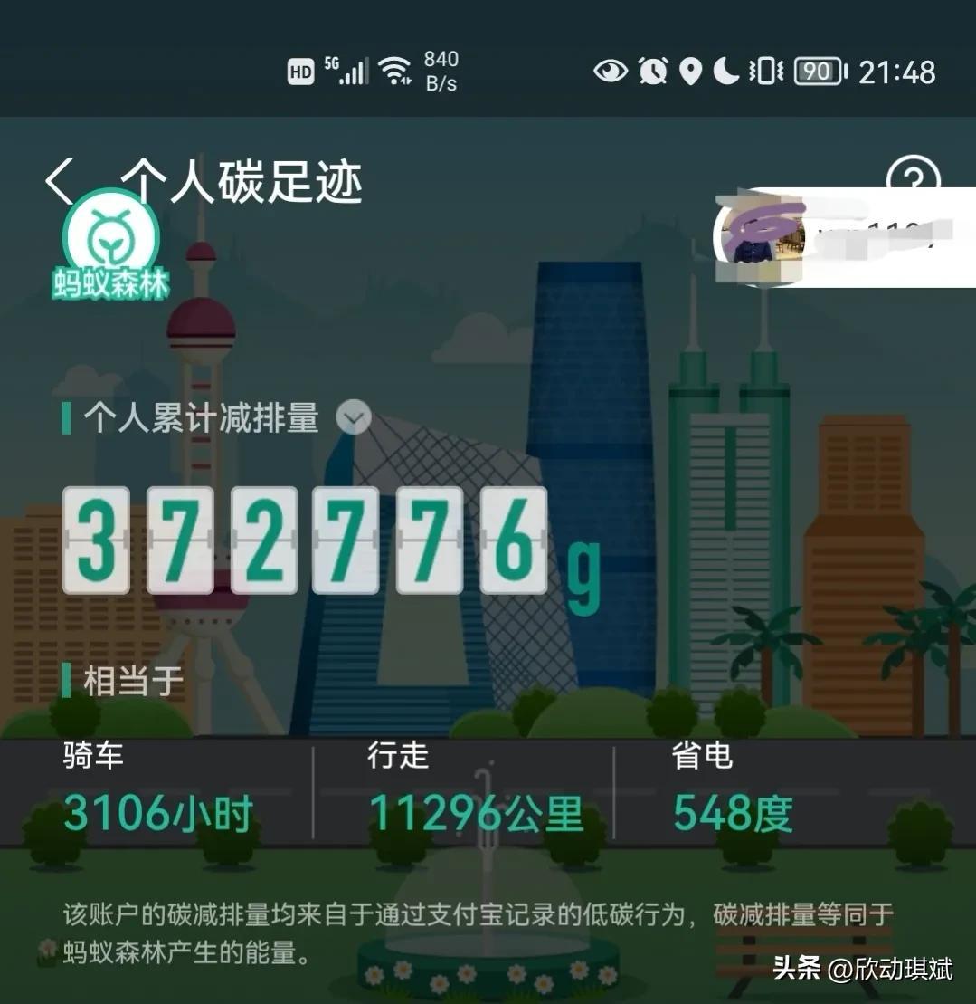 支付宝蚂蚁森林种树有什么用？分析蚂蚁森林种树的作用及意义