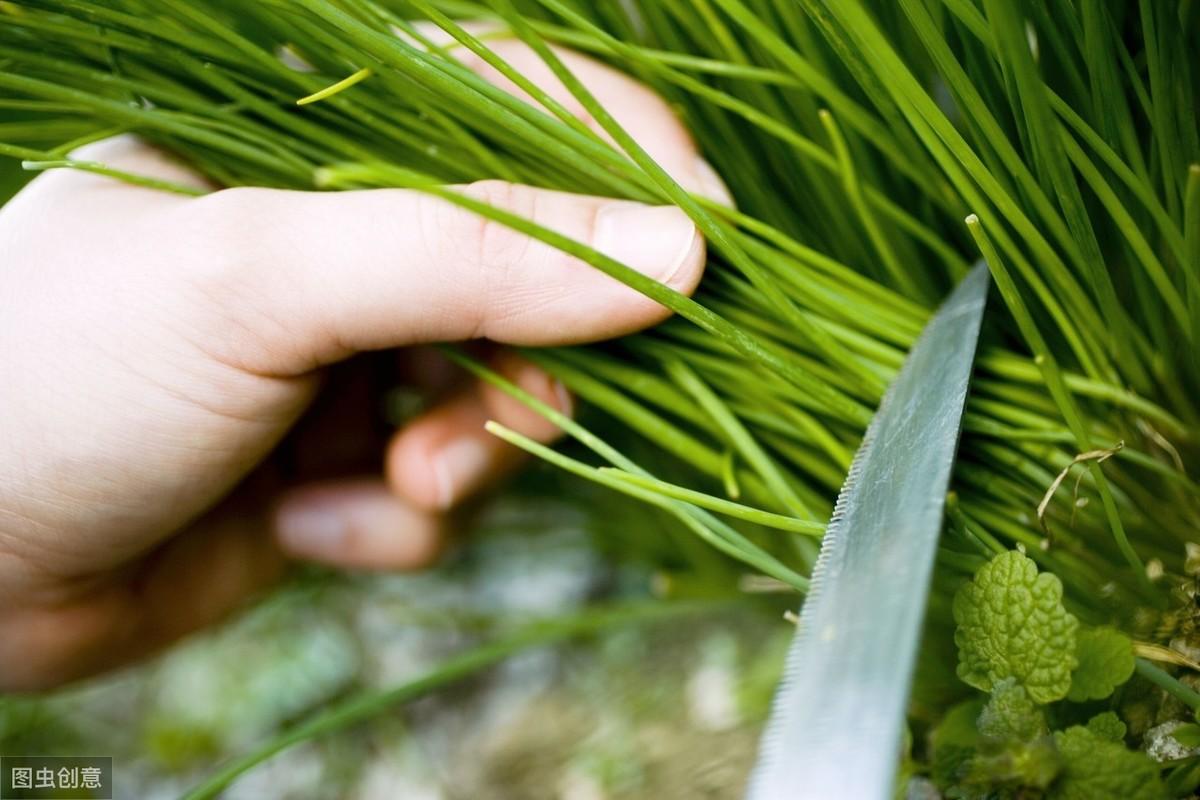 闲鱼拍卖怎么发布？盘点咸鱼拍卖发布流程及规则