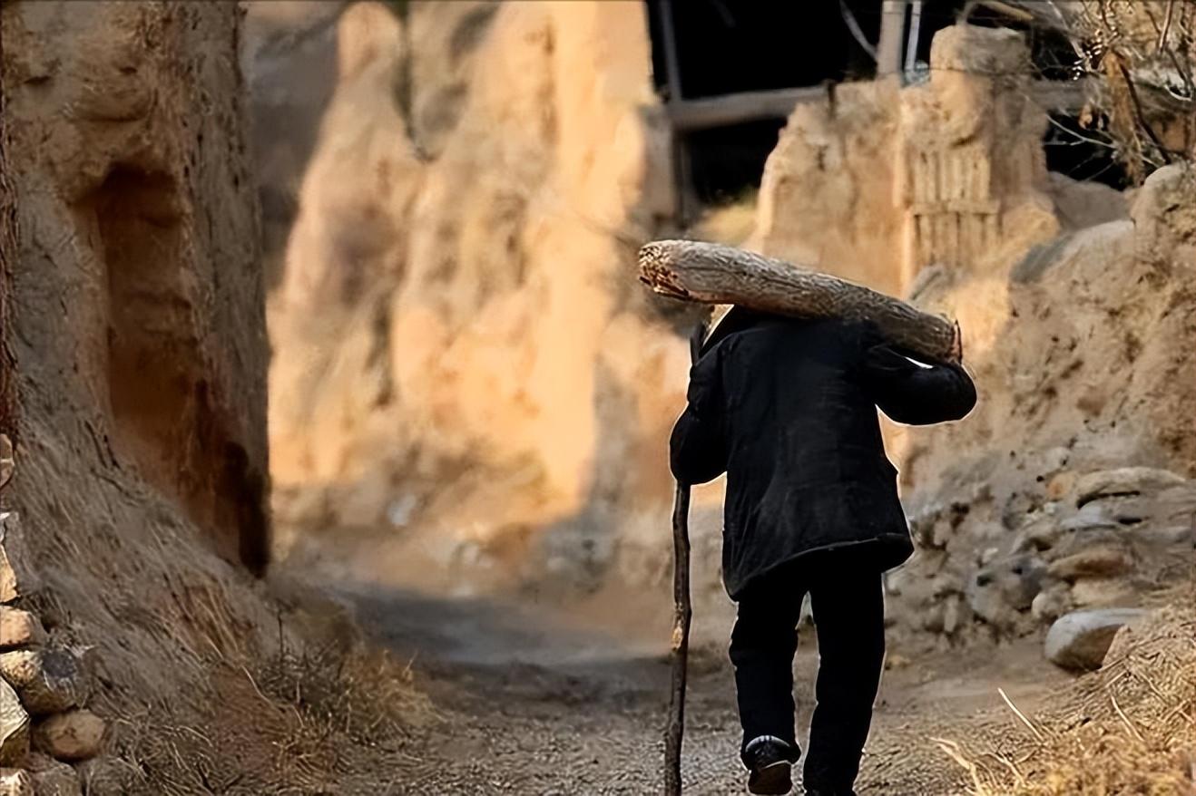 壹号土猪创始人陈生简介（壹号土猪集团董事长陈生背景故事及发展）