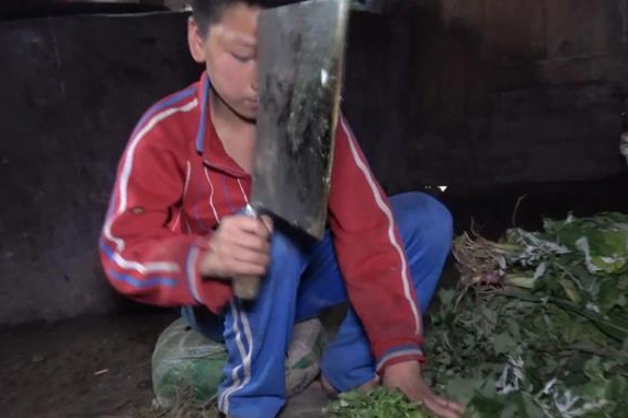 壹号土猪创始人陈生简介（壹号土猪集团董事长陈生背景故事及发展）