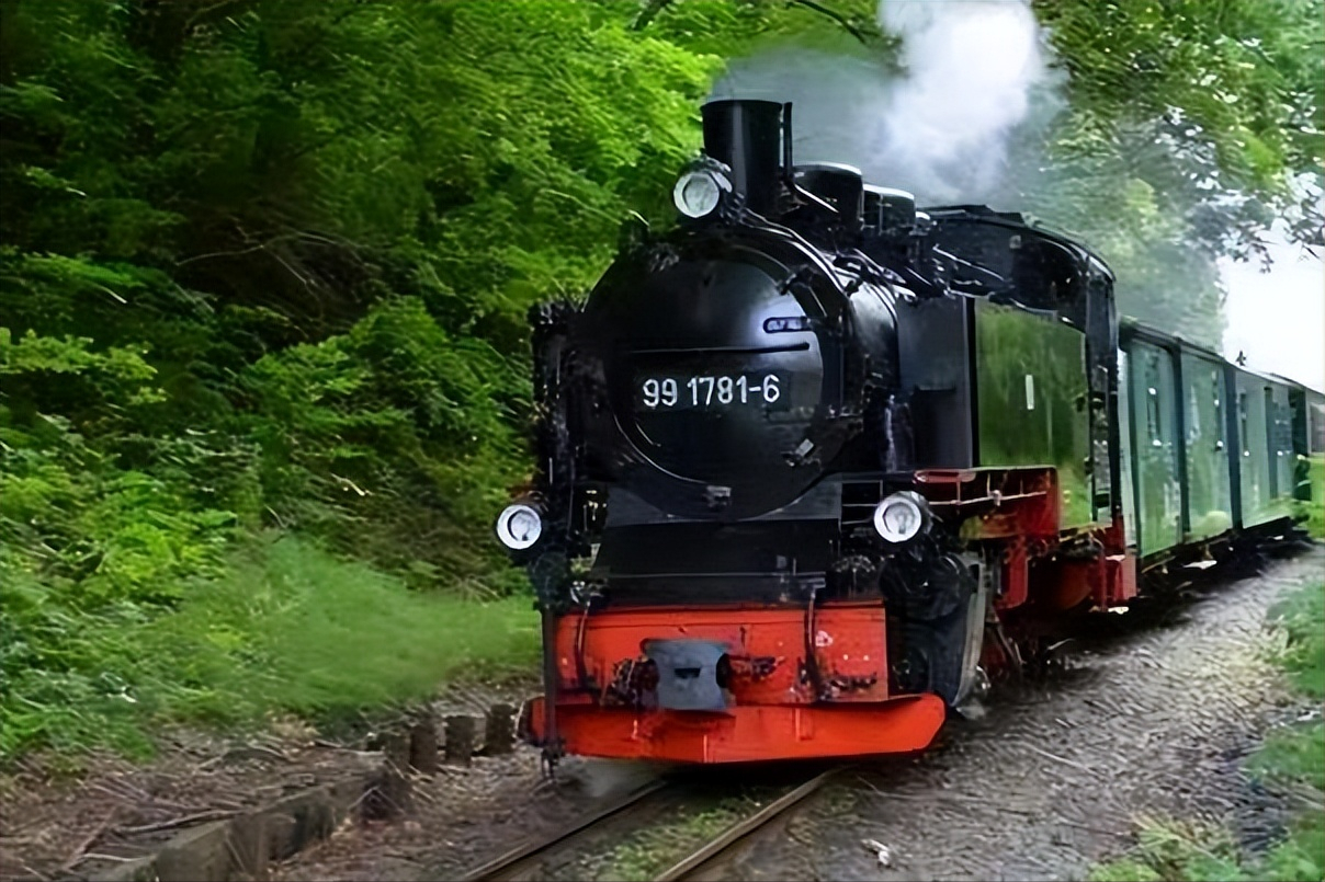 壹号土猪创始人陈生简介（壹号土猪集团董事长陈生背景故事及发展）