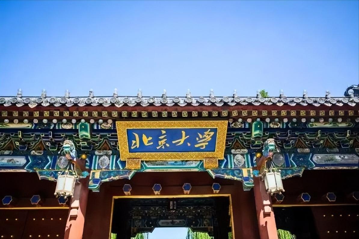 壹号土猪创始人陈生简介（壹号土猪集团董事长陈生背景故事及发展）