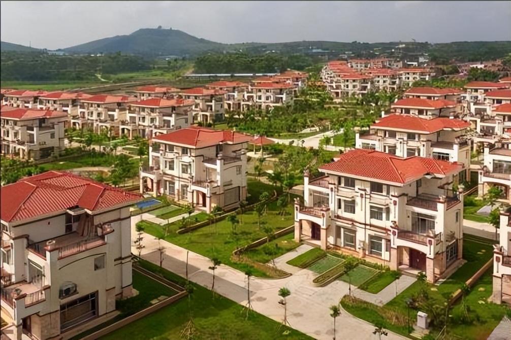 壹号土猪创始人陈生简介（壹号土猪集团董事长陈生背景故事及发展）