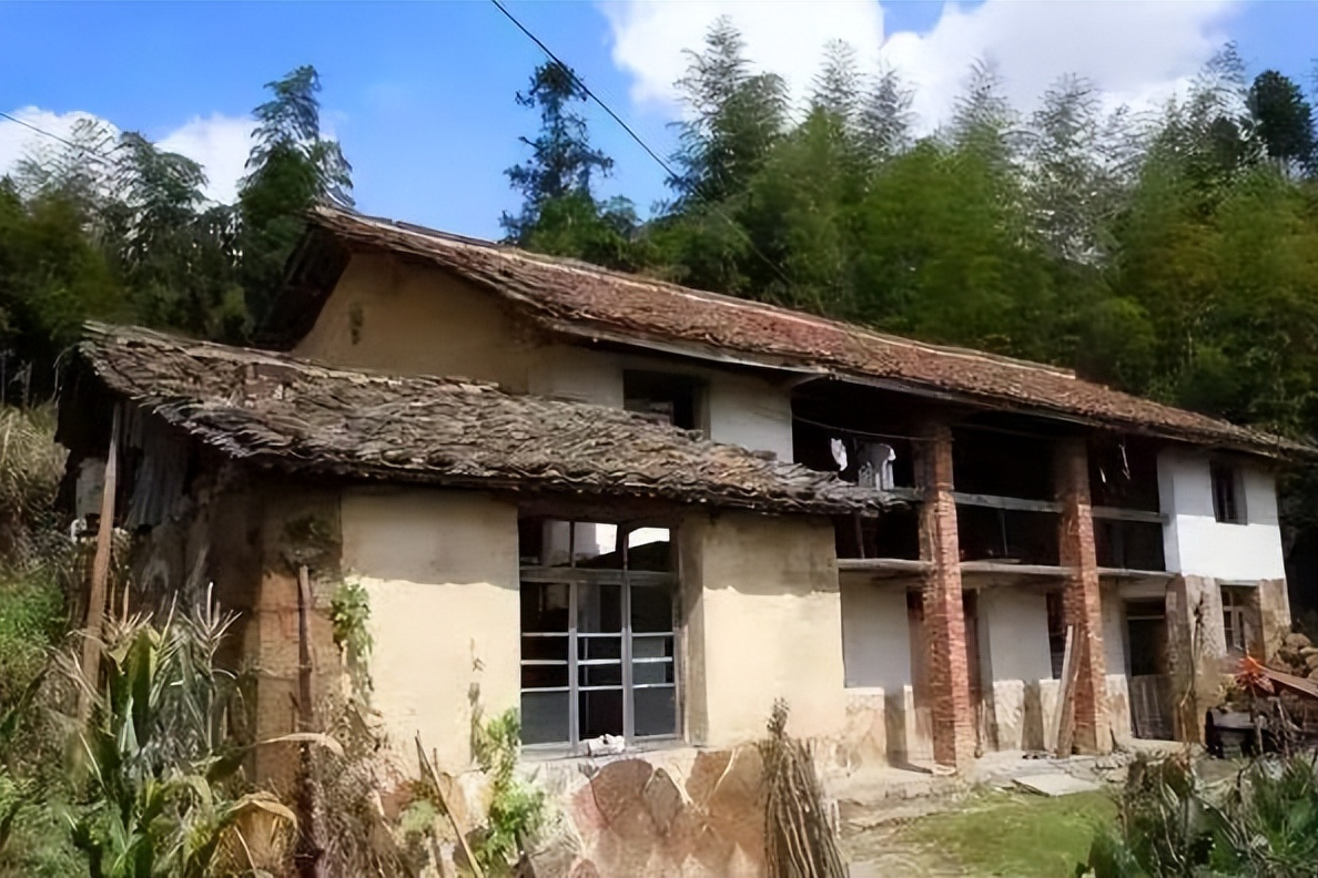 壹号土猪创始人陈生简介（壹号土猪集团董事长陈生背景故事及发展）