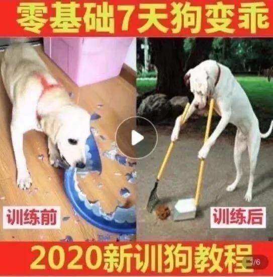 拼多多广告语（100条经典广告语合集）
