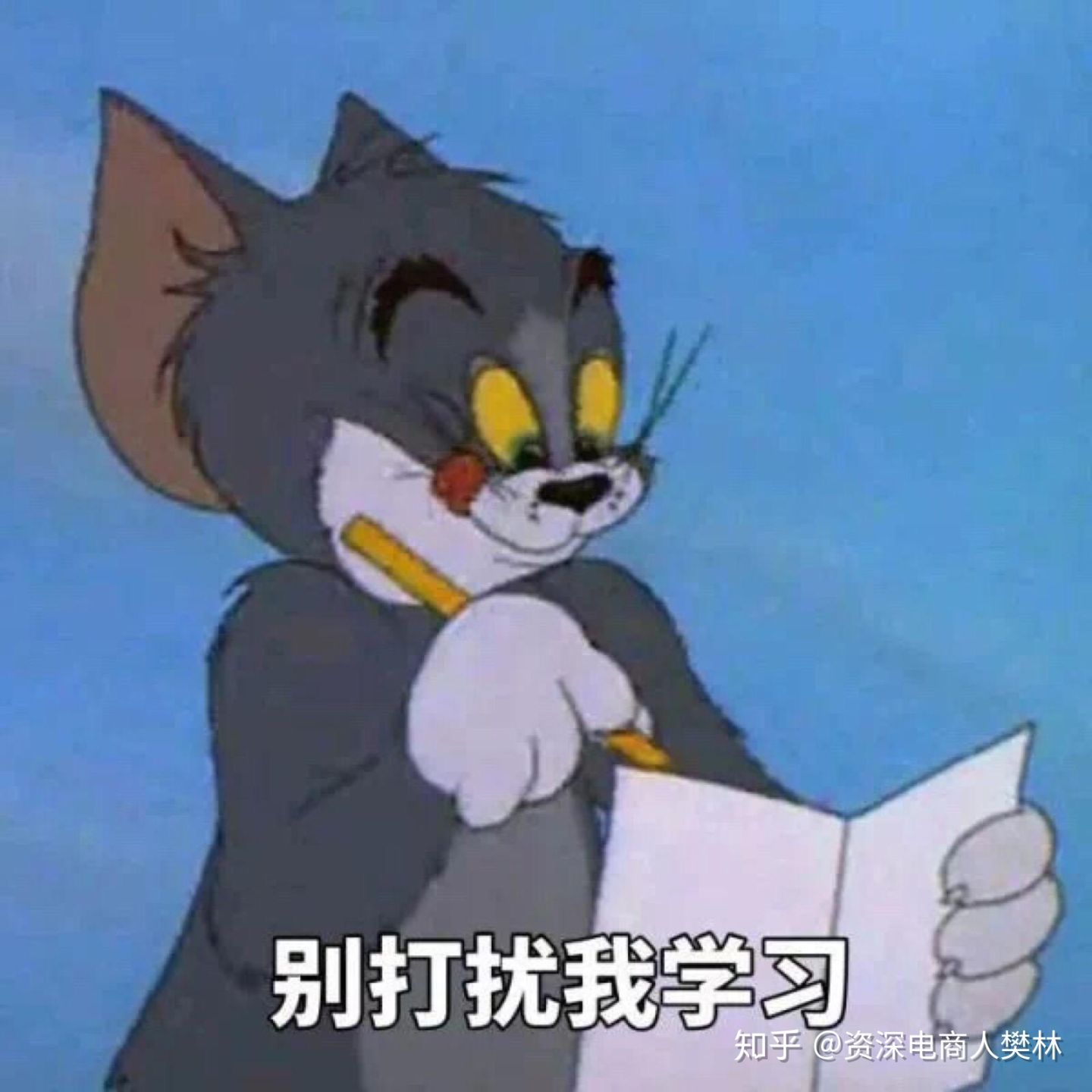什么是淘宝直通车？直通车新手必看的知识