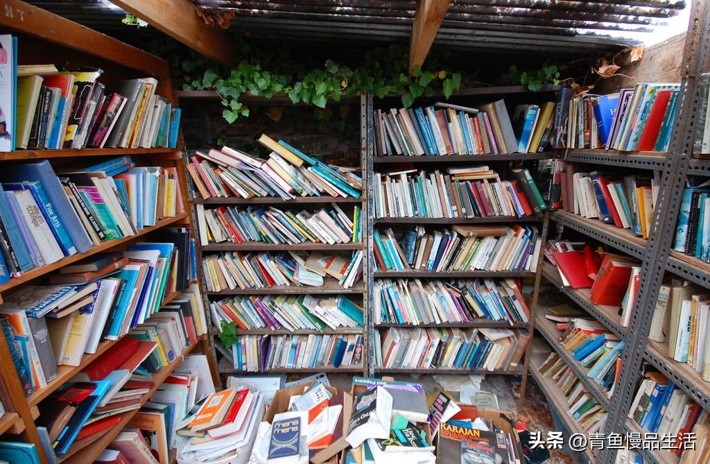 亚马逊书城官网（亚马逊网上书店排行榜）