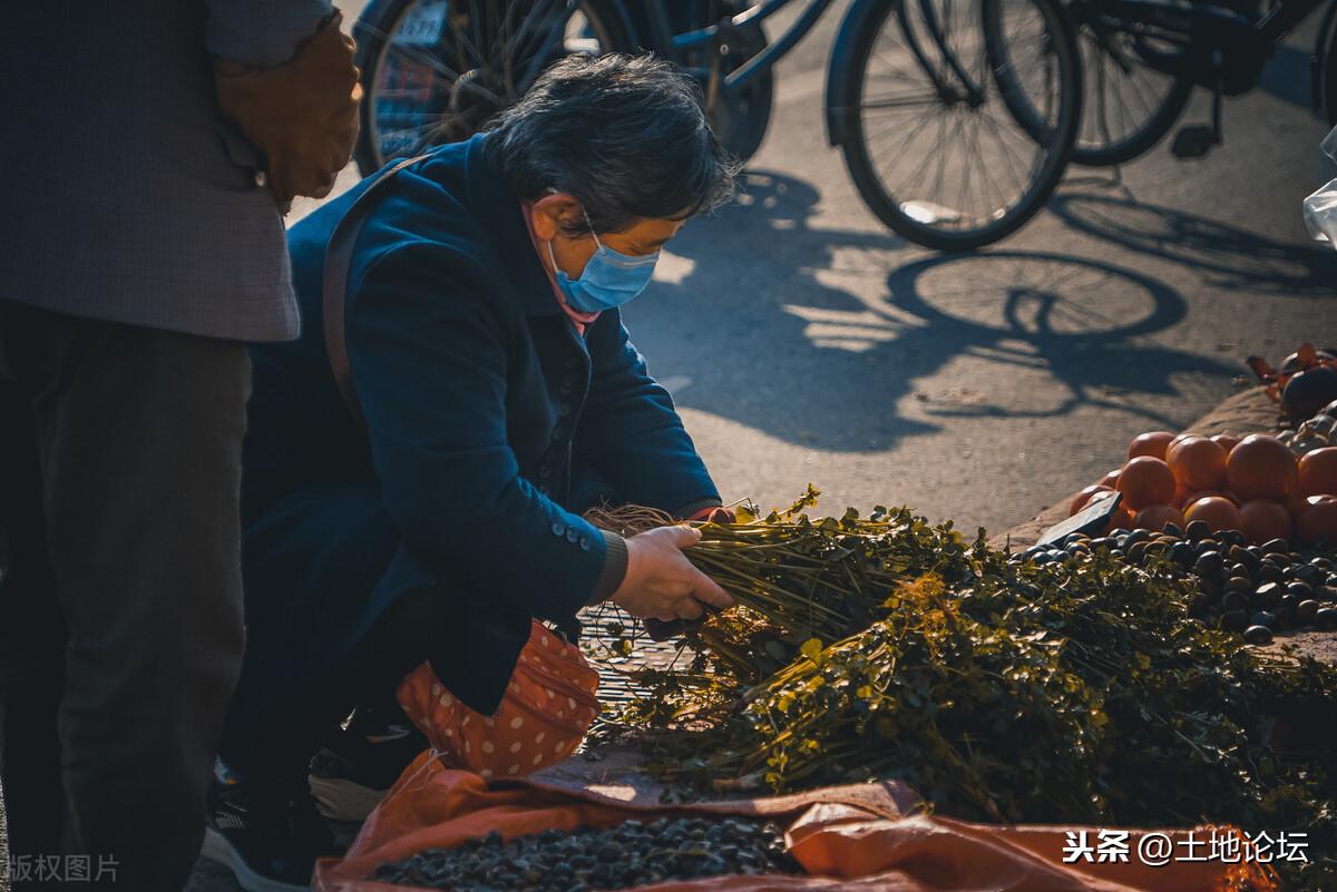 货比三家是什么意思？农村俗语货比三家不吃亏的文案和道理