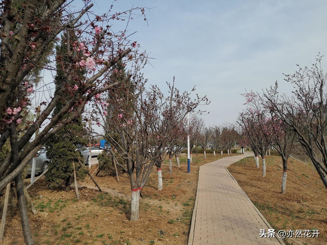 产品介绍怎么写（产品介绍范文模板100字）