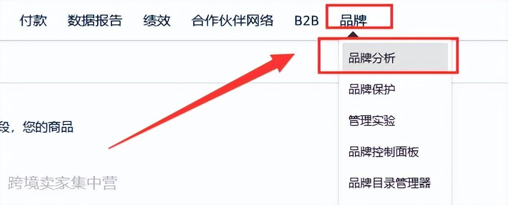 亚马逊后台（亚马逊平台功能介绍）