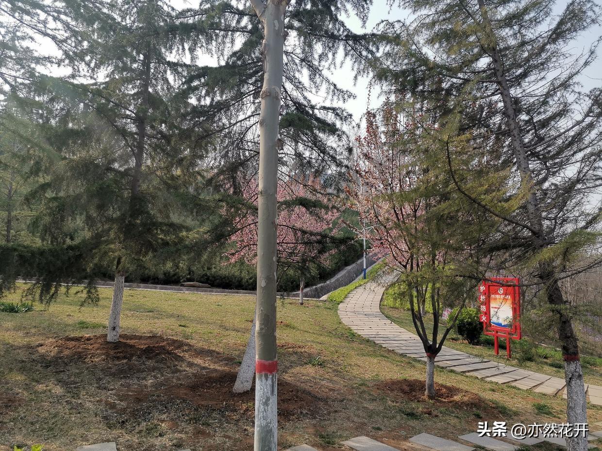产品介绍怎么写（产品介绍范文模板100字）