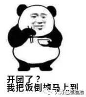 开团是什么意思？拼多多开团提醒怎么取消