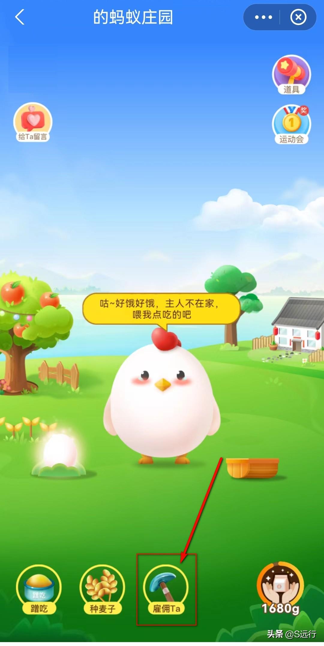 支付宝的蚂蚁庄园怎么玩？支付宝庄园被打跑的小鸡怎么请回来？