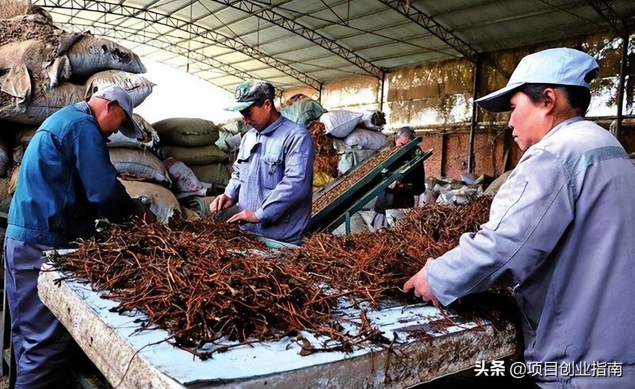 什么东西好卖？适合新手做的十大冷门暴利生意