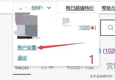 美国ebay官网（ebay美国站点特点解析）