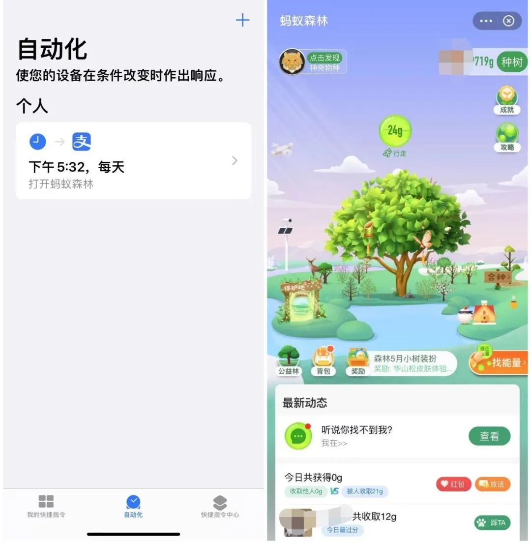 支付宝收蚂蚁能量有什么用？支付宝一键收取蚂蚁森林能量的攻略
