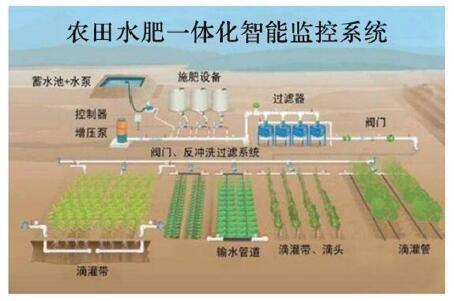 生产经营方式有哪些？盘点几种现代农业生产经营的常见模式