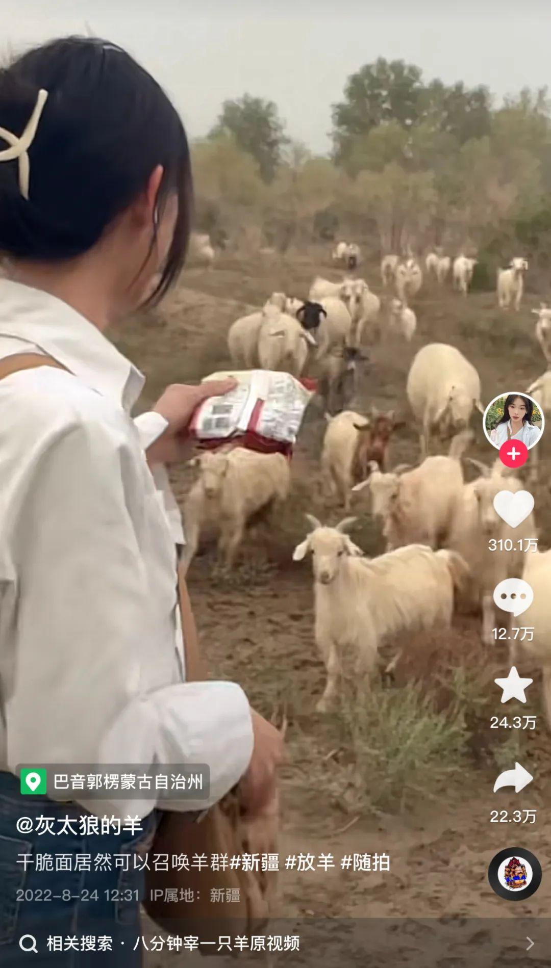 抖音红人排行榜前十名（2023抖音粉丝排名前十网红）