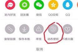 视频怎么做手机动态壁纸？抖音视频设置成手机屏保的方法