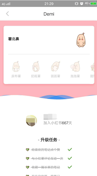 小红书是啥软件？小红书软件相关介绍及推广运用模式解析