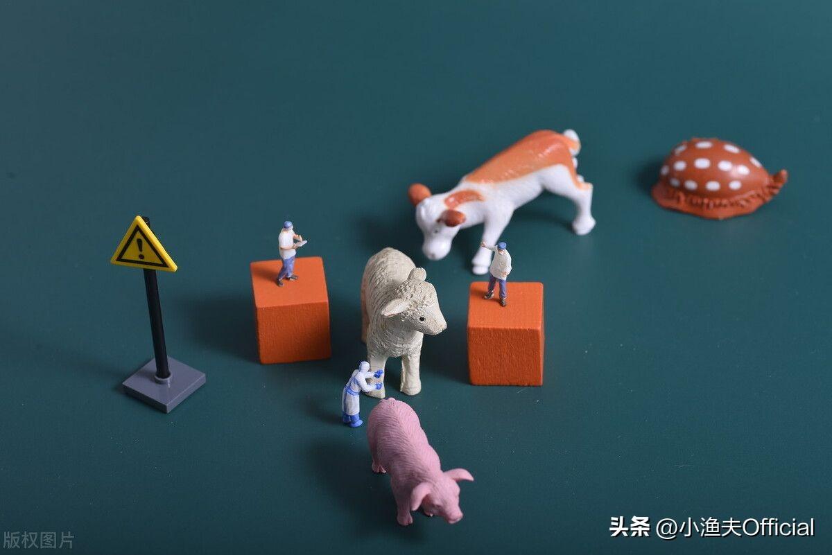 线下物流是什么意思？跨境电商线上发货与线下发货的主要区别是什么