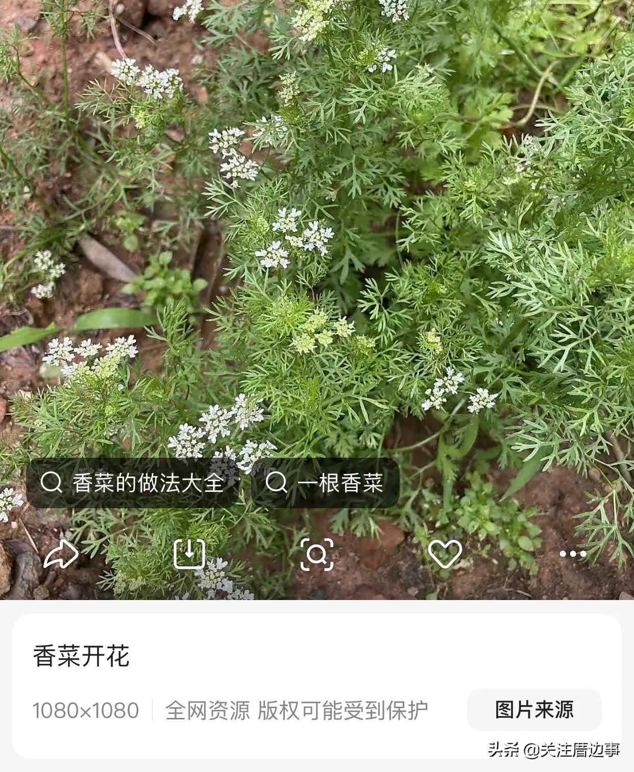 蹭热度是什么意思？关于趁热度与蹭热度的区别是什么？