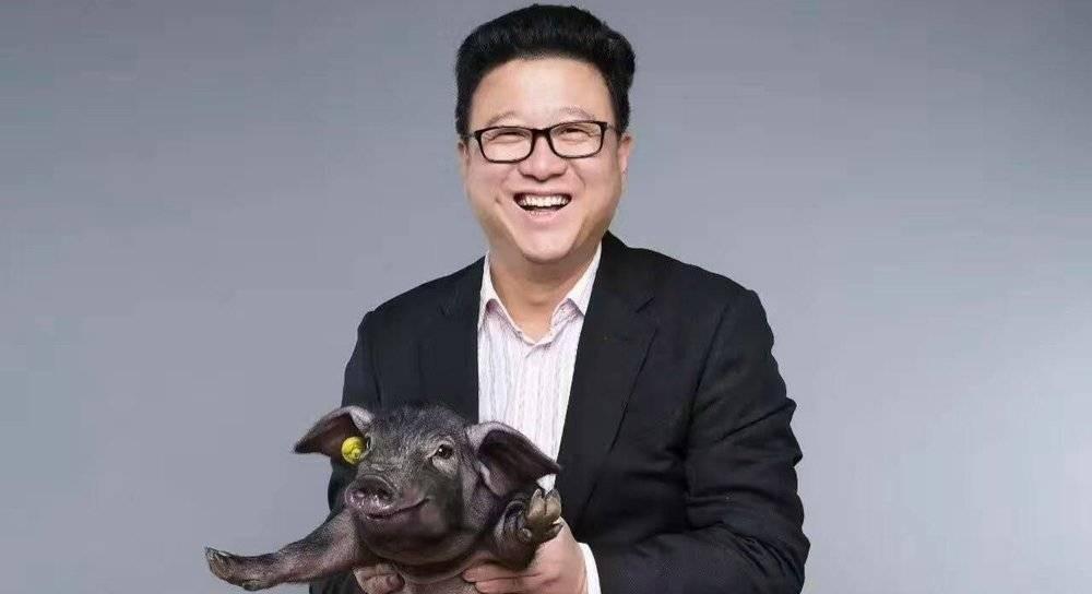 网易养猪场是什么意思？网易智能养猪平台的生存现状及动态