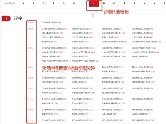 京东司法拍卖网平台（京东司法网拍卖汽车流程及注意事项）