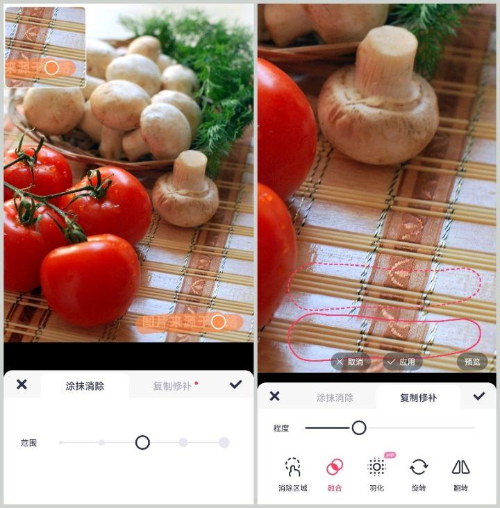 gif去水印软件（超实用去水印软件app推荐）