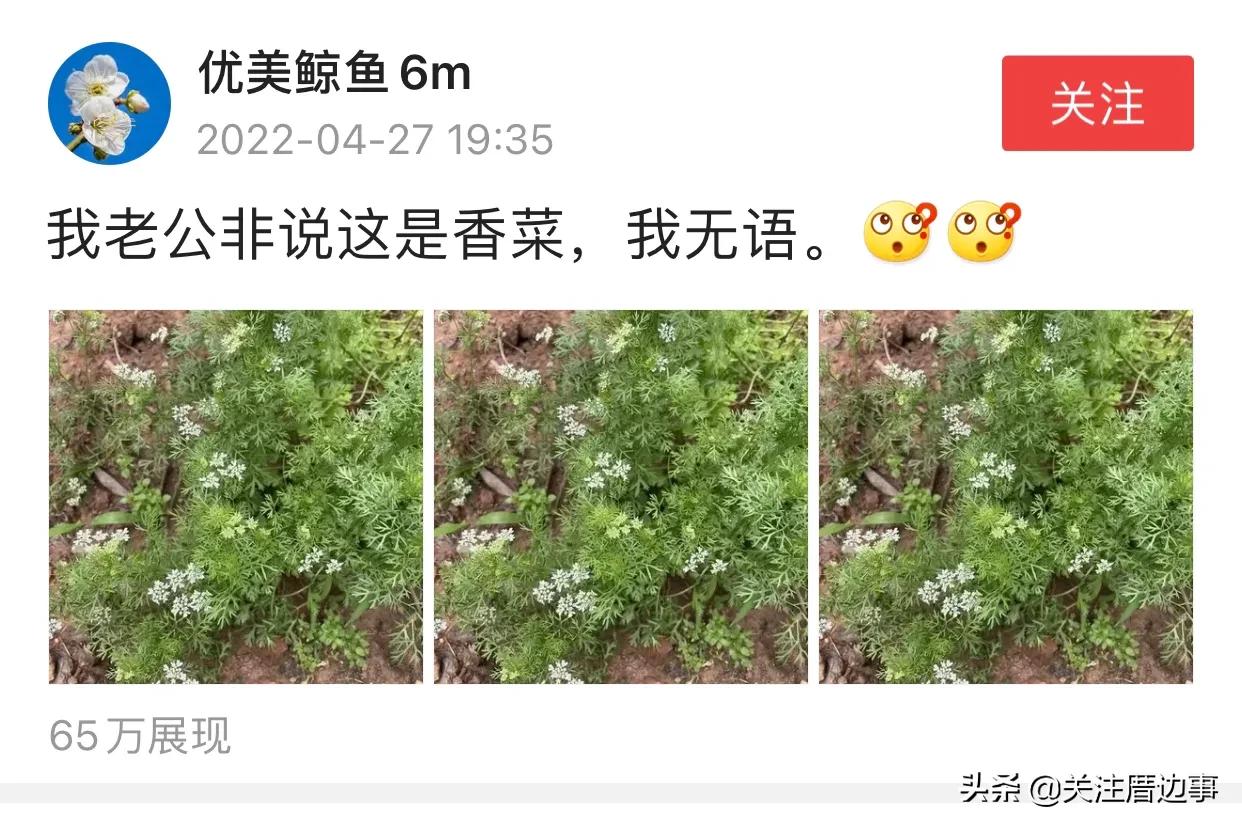 蹭热度是什么意思？关于趁热度与蹭热度的区别是什么？