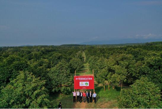 苏宁老板是谁?苏宁易购董事长张近东的相关介绍及发展现状