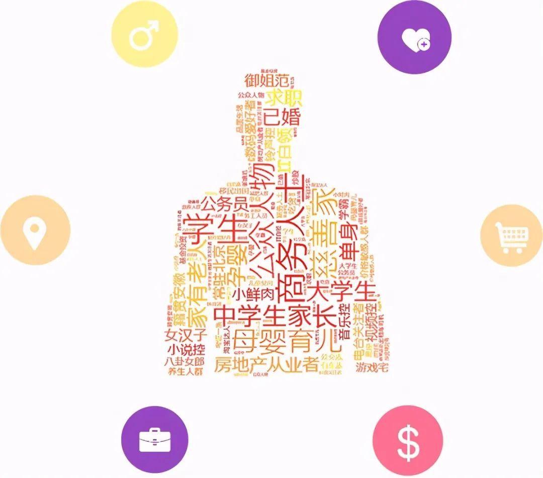 人群分类填写什么内容？人群画像分析从哪几个方面入手？