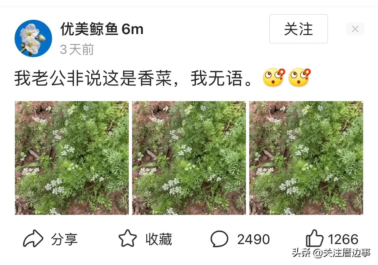 蹭热度是什么意思？关于趁热度与蹭热度的区别是什么？