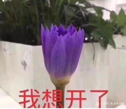 38是女王节还是女神节？带你了解三八妇女节的由来及意义