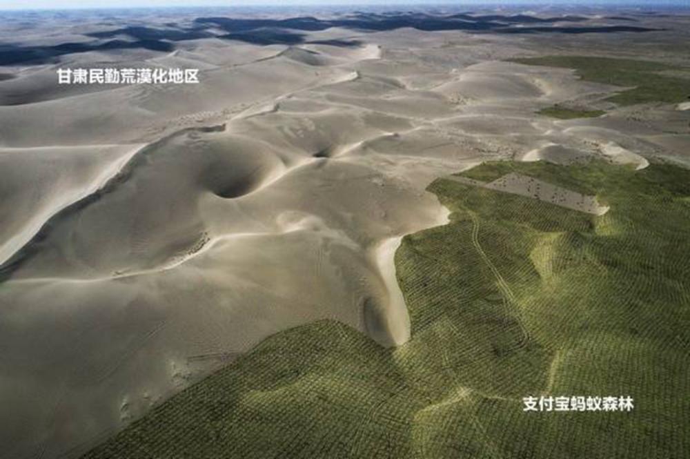 蚂蚁森林种树是真的吗？支付宝蚂蚁森林真正的目的及意义