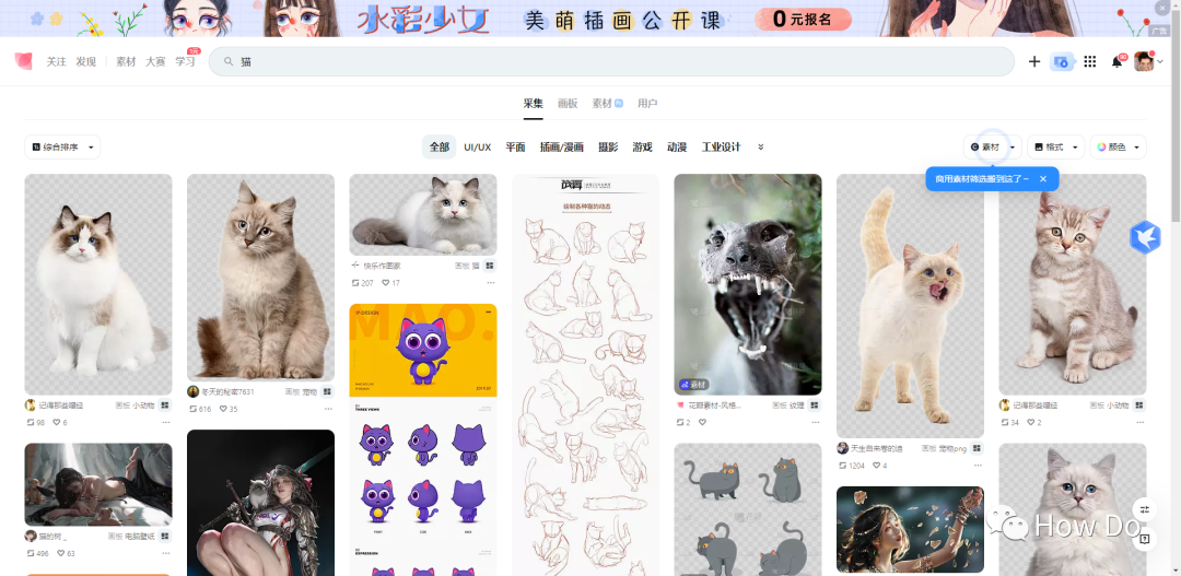 花瓣网免费素材图库（推荐几个高质量免费花瓣视频特效素材库）